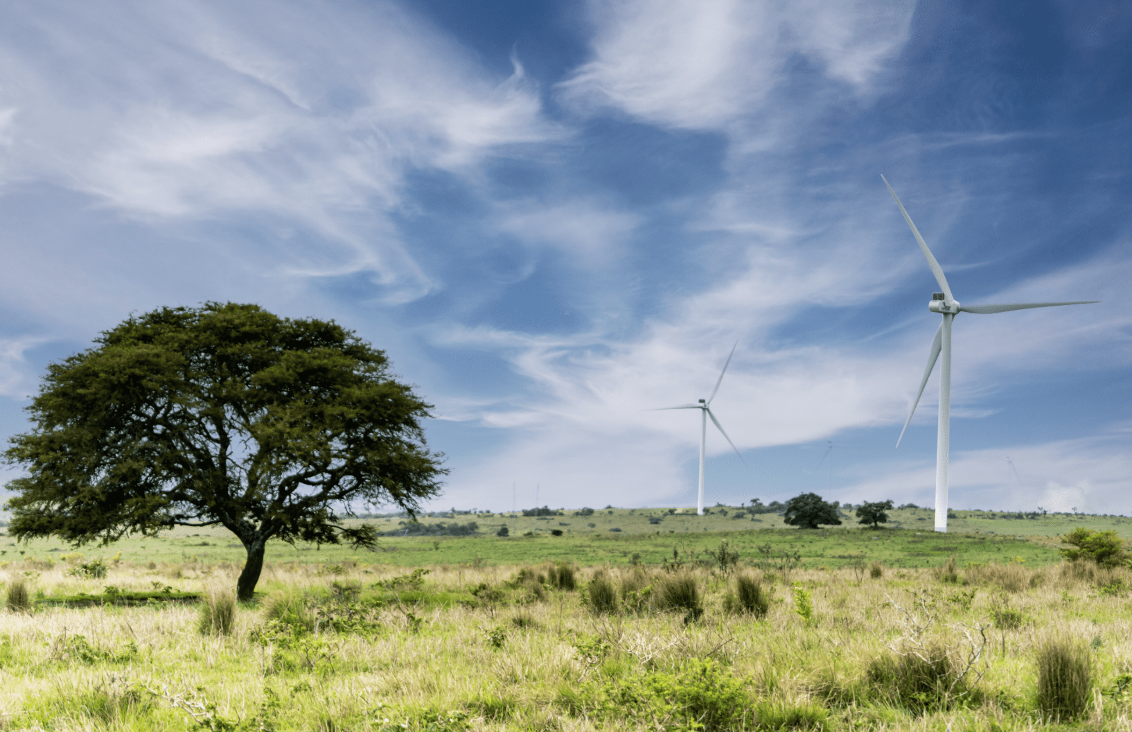 Featured image for “Anglo American partners with EDF Renewables to secure 100% renewable energy supply for South African operations”